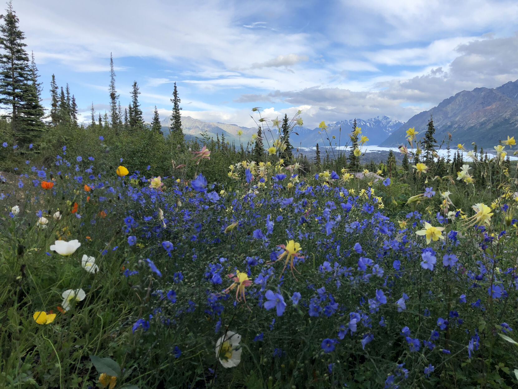 5f2261f62a109.image.jpg